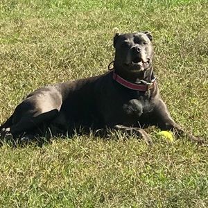 Meet your Posher, Richard